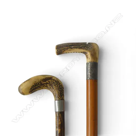 2 OLD ANTLER HANDLED WALKING STICKS: 1 w silver collar