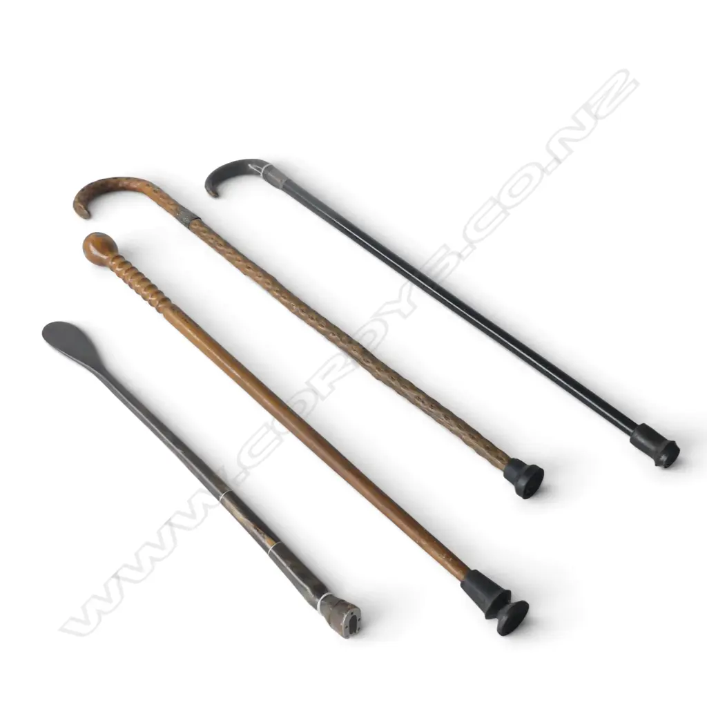 3 WALKING STICKS + SHOE HORN two stg silver collars L.810mm Image 1++