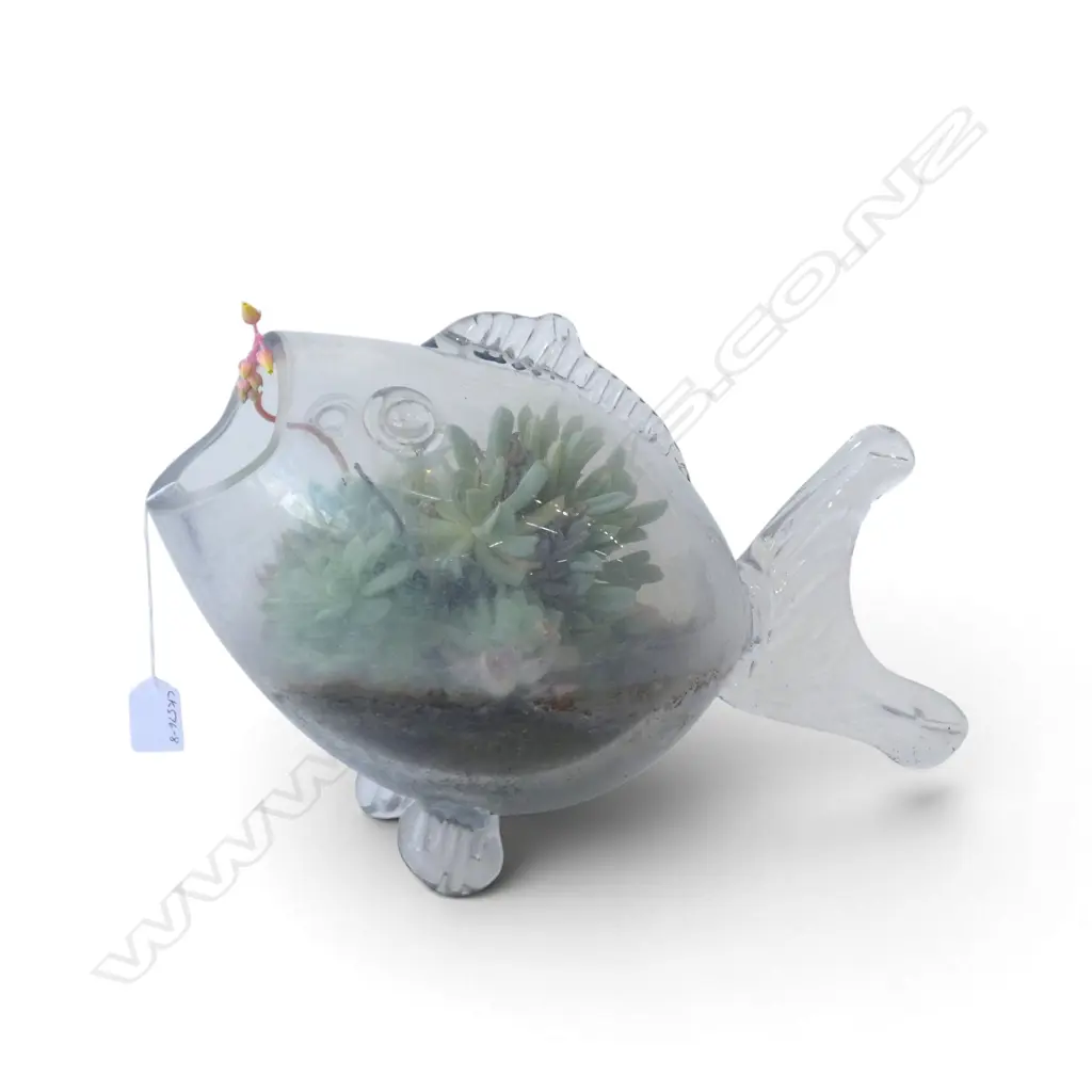 GLASS FISH TERRARIUM  L450MM  Image 1++