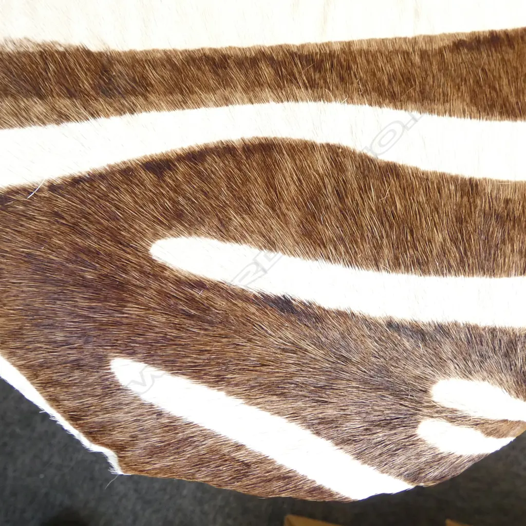 ZEBRA STOOL Image 1++