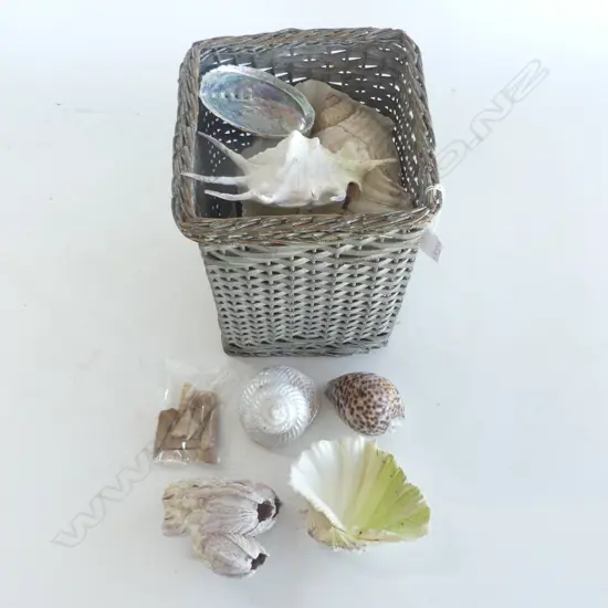 BASKET OF SHELLS H.260mm