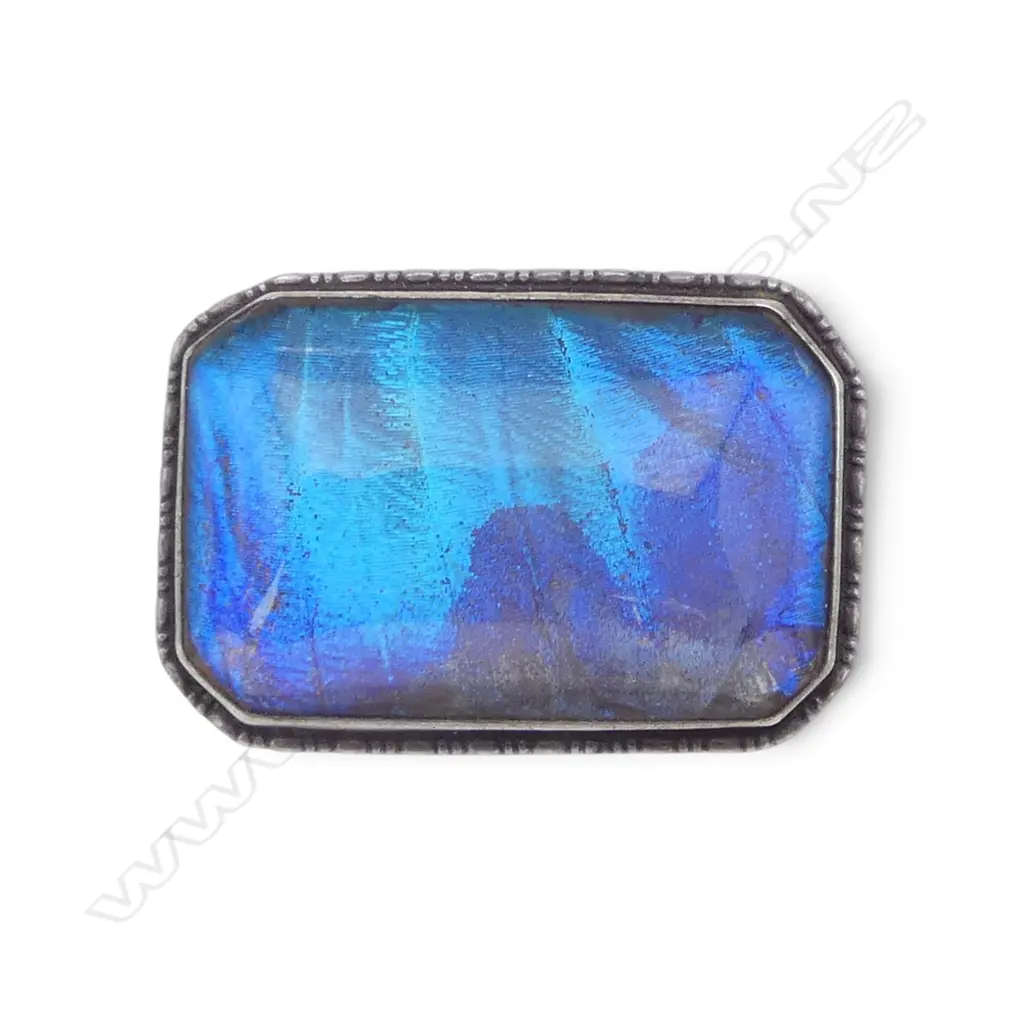 STG SILVER & BUTTERFLY WING BROOCH Image 1++