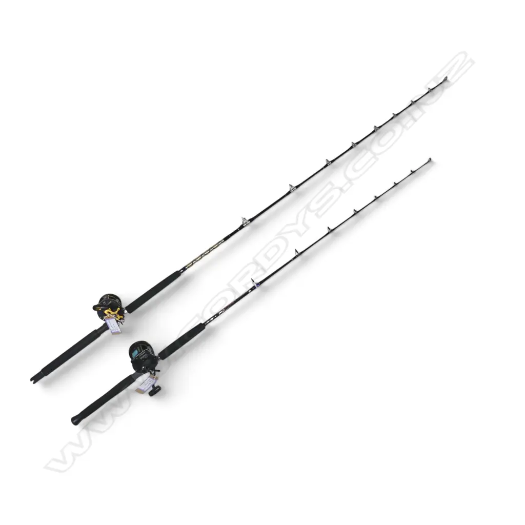 2 FISHING RODDS & REELS SEASPIRT 458R/C& SEA SPIRT SS558 Image 1++