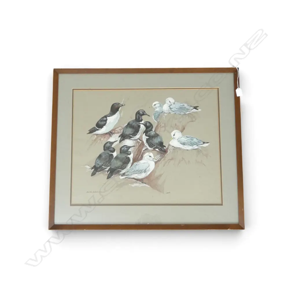 BIRD ARTWORK SIGNED JARVIS 'RAZORBILL, GUILLEMOT, KITTIWAKE' ACYRLIC 490x620mm Image 1++