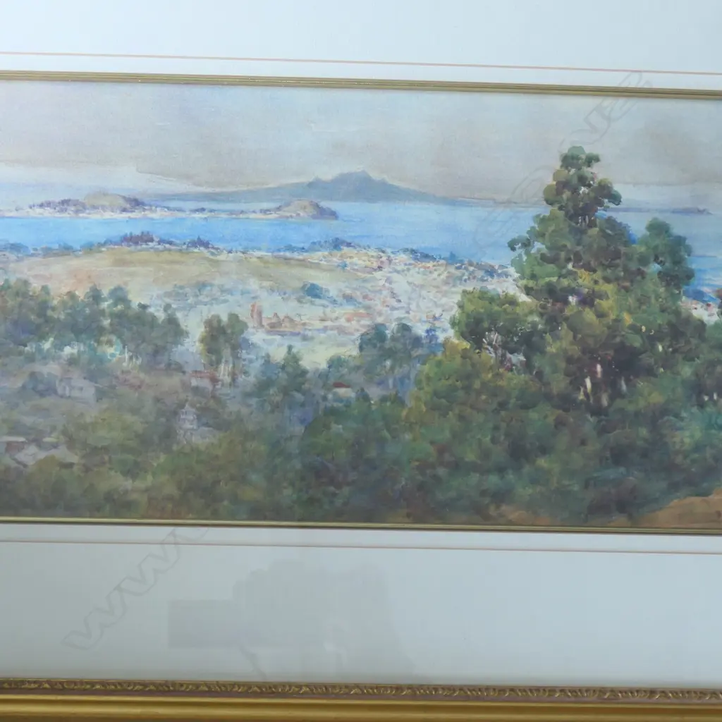 2 PRINTS OF AUCKLAND; JOHN BARR CLARKE HOYTE & C.N. WORSLEY 245x740mm Image 1++