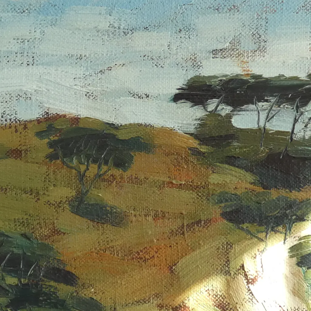 RUTH COLE 'SOUTH KAIPARA FARM; TRACK TO MURIWAI BEACH' OIL ON CANVAS '06 305x355mm Image 1++