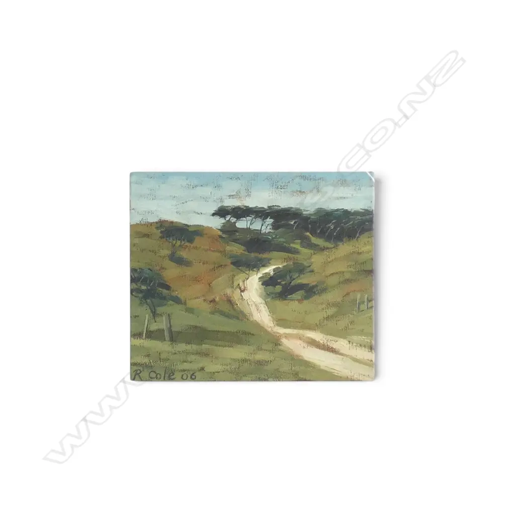 RUTH COLE 'SOUTH KAIPARA FARM; TRACK TO MURIWAI BEACH' OIL ON CANVAS '06 305x355mm Image 1++
