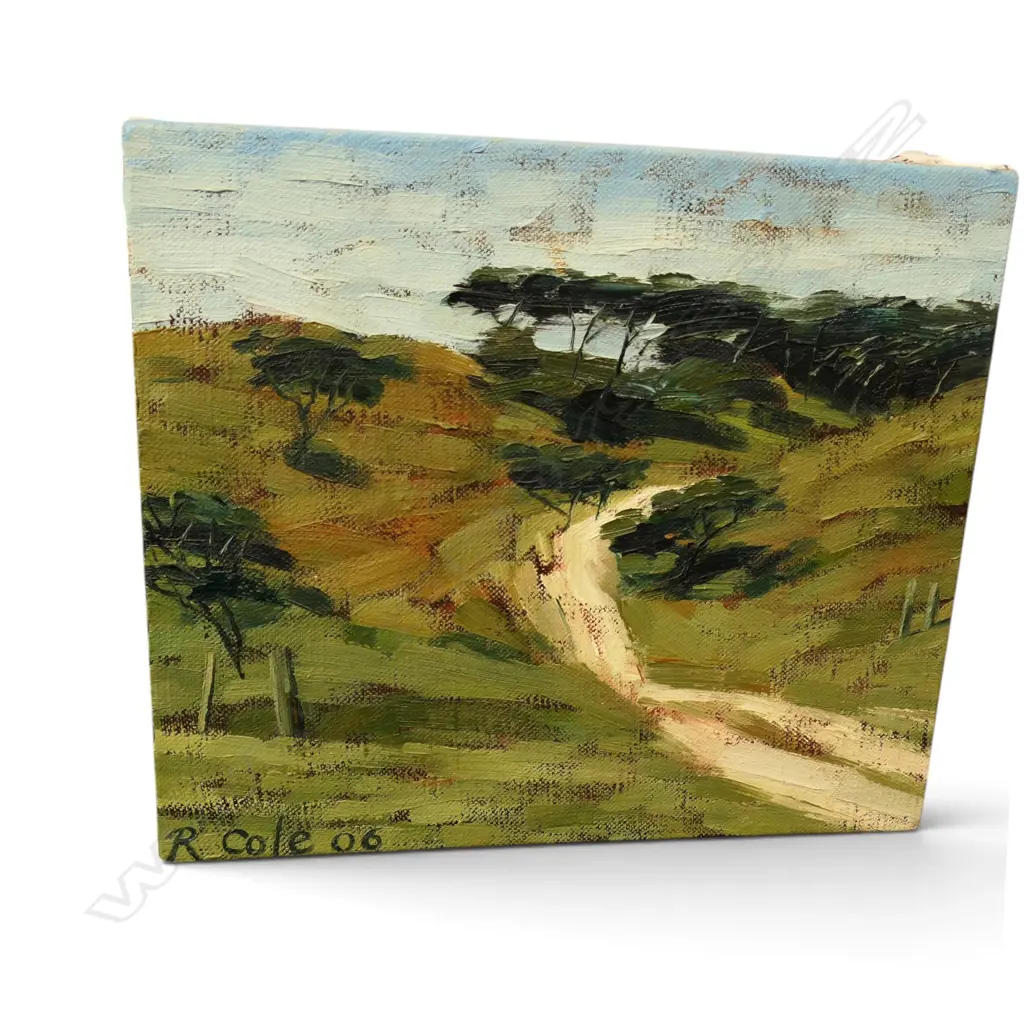 R. COLE 'SOUTH KAIPARA FARM; TRACK TO MURIWAI BEACH' OIL ON CANVAS '06 305x355mm Image 1++