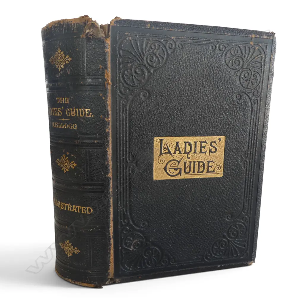1895 Ladies Guide Health & Disease Illustrated Book by Kellogg, wear Image 1++