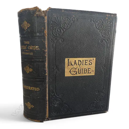 1895 Ladies Guide Health & Disease Illustrated Book by Kellogg, wear