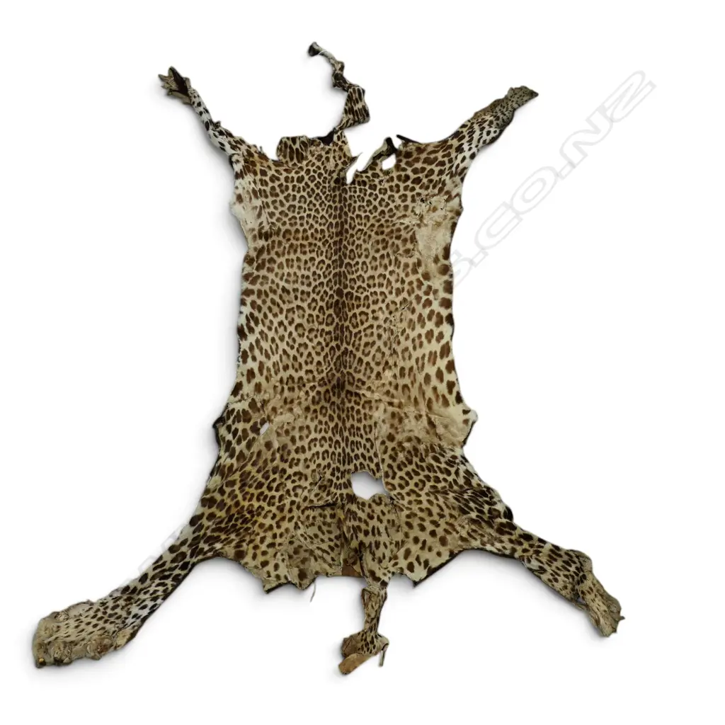 LEOPARD HIDE 1700x1200mm FAULTS Image 1++