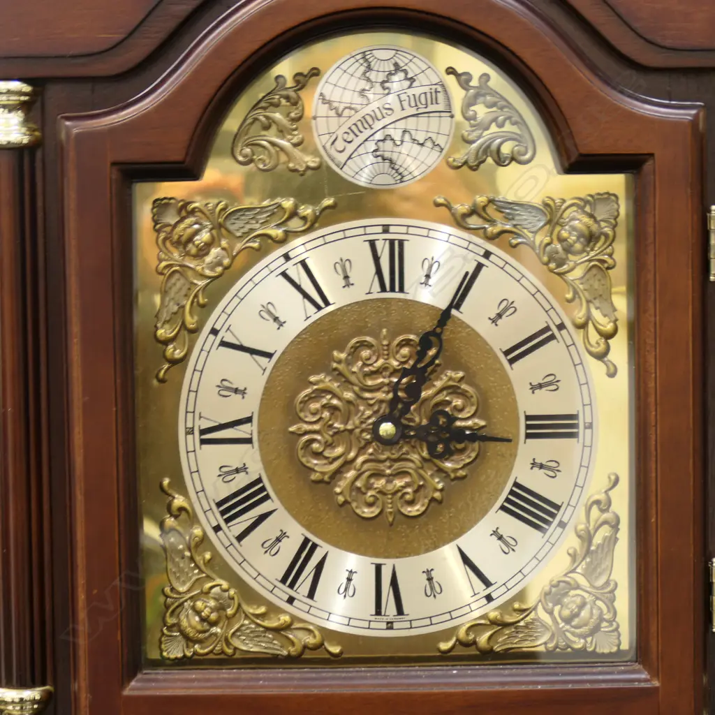 TEMPUS FUGIT LONG CASE CLOCK H.1810mm Image 1++