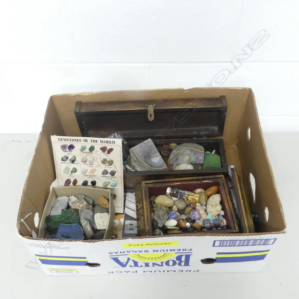 LAPIDARY COLLECTION Image 1++