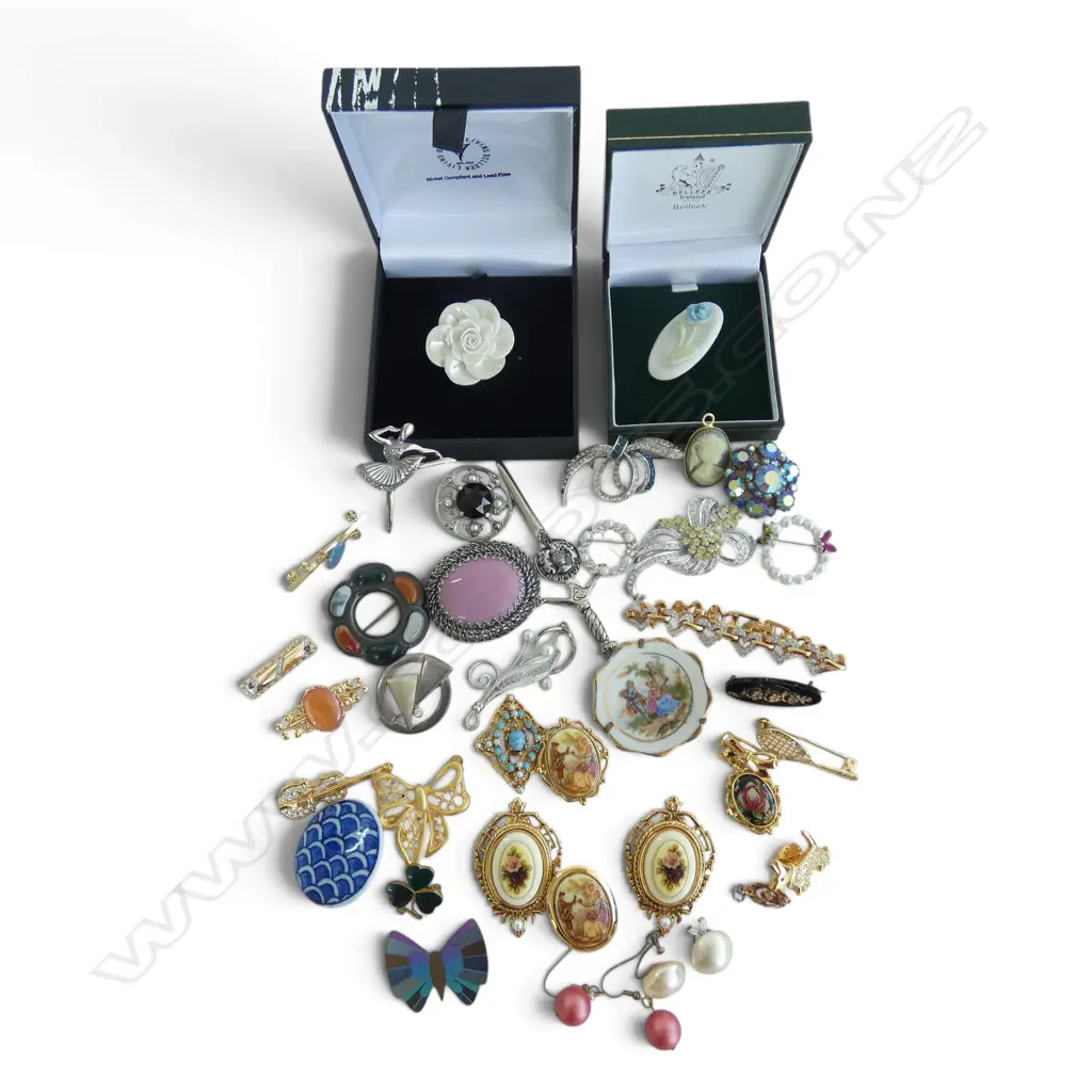 ASST COSTUME BROOCHES inclds silver & 2 Belleek Image 1++