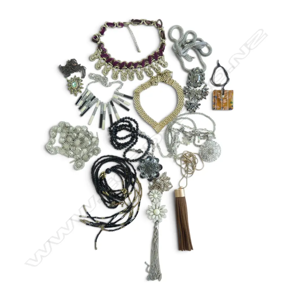 ASST. COSTUME NECKLACES Image 1++