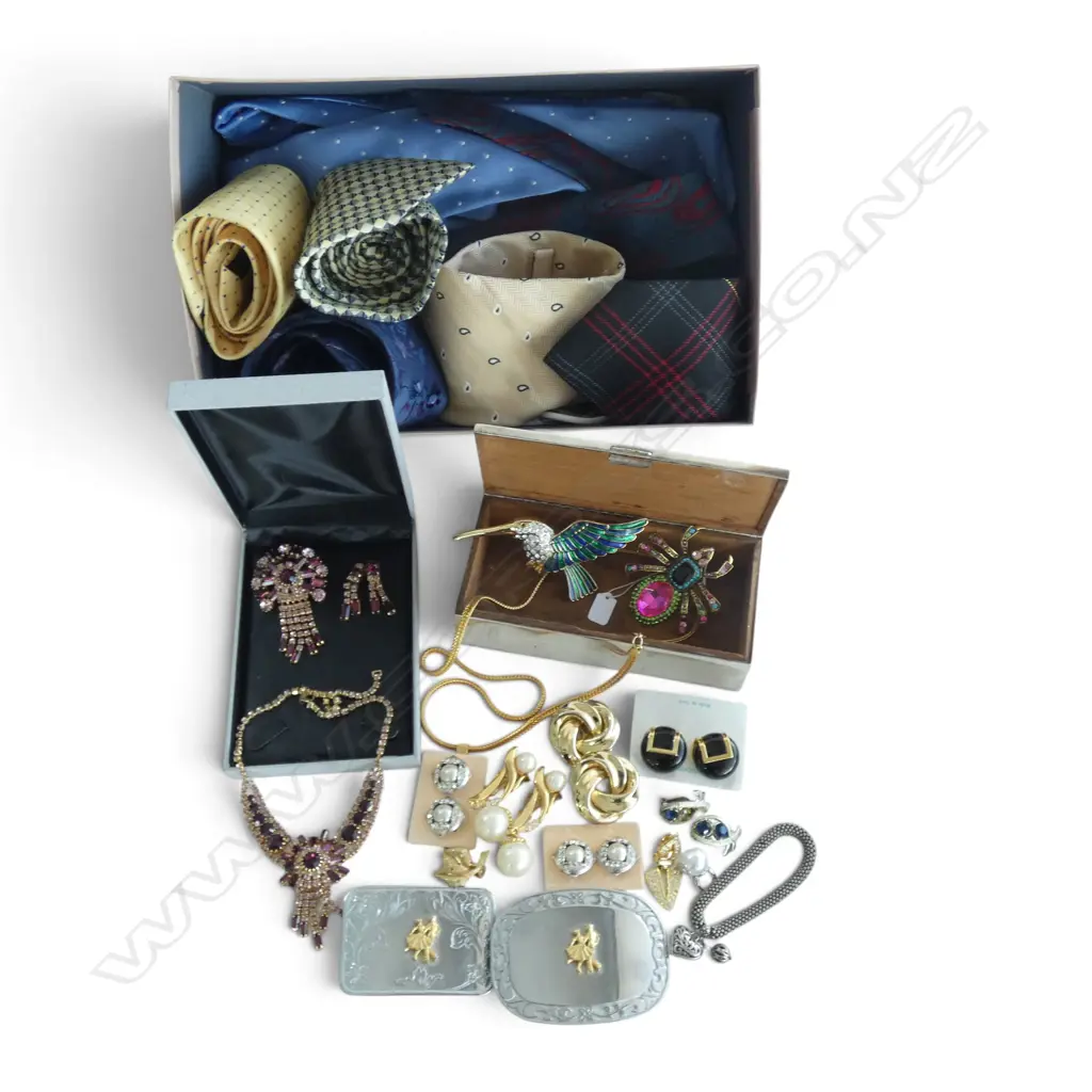 ASST. COSTUME JEWELLERY + TIES etc Image 1++