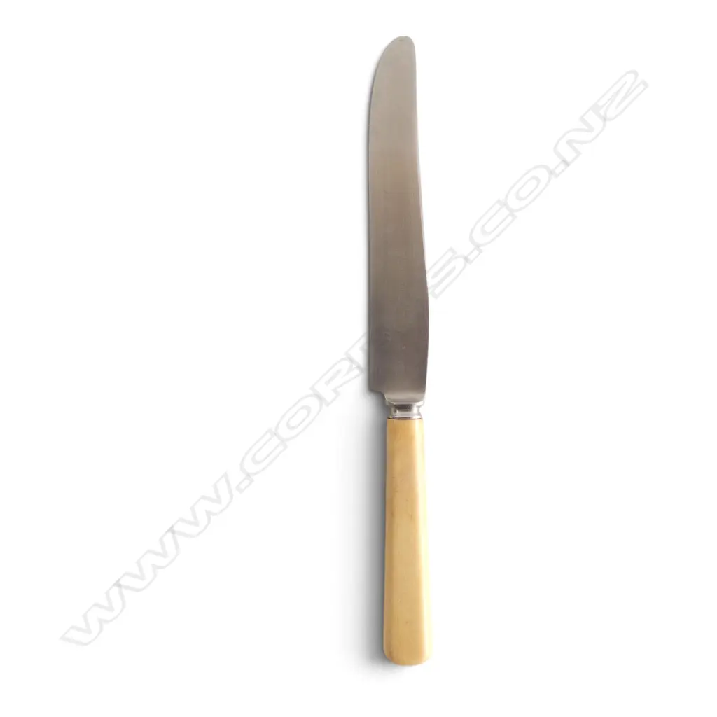 Casein handled knife from the 'II Byrd Antartic Expedition II' with engraved blade Image 1++