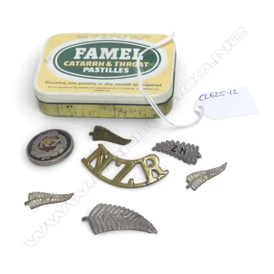 'N.Z.' ONWARD STG SILVER & TURTLE SHELL SWEETHEART BROOCH, NZR BROOCH & 5 N.Z. FERN BROOCHES