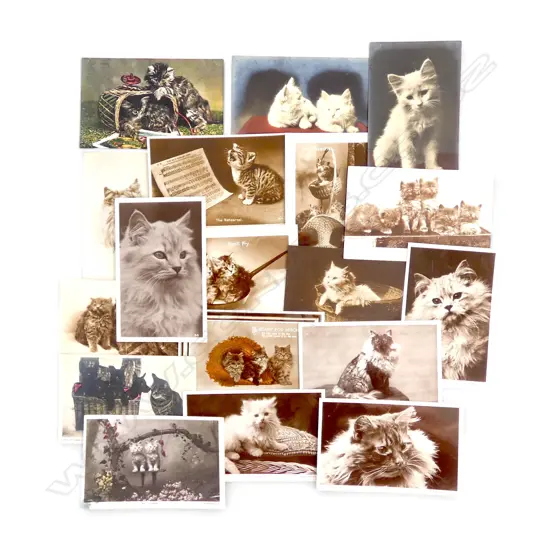 18 ANTIQUE POSTCARDS OF CATS PHOTOGRAPHIC