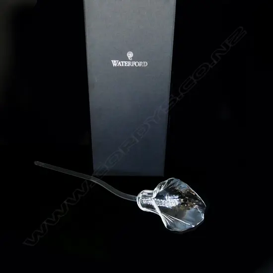 BOXED WATERFORD CALLA LILY FLOWER L.380mm