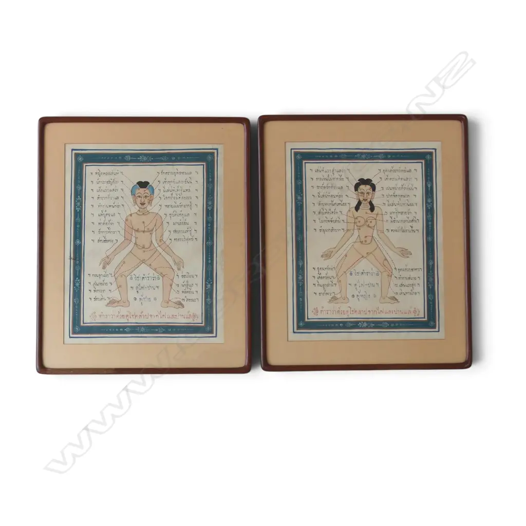 PR THAI BIRTHMARK & MOLE READING CHARTS 380x300mm Image 1++