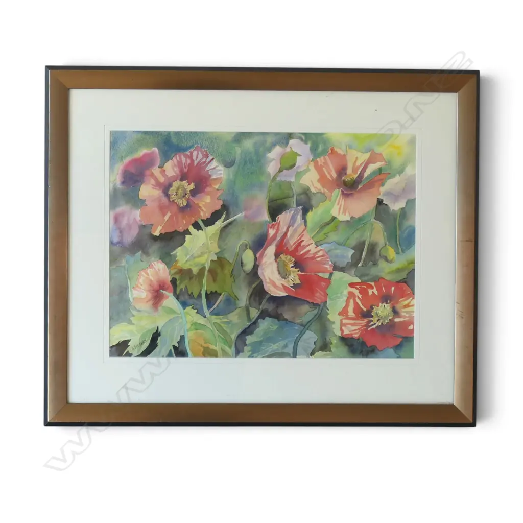 ANNE MURRAY 'POPPIES' WATERCOLOUR. Signed. Labelled verso. 400 x 545mm. Image 1++