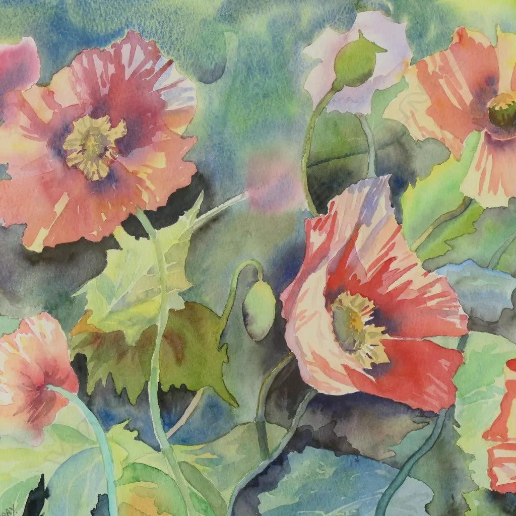 ANNE MURRAY 'POPPIES' WATERCOLOUR. Signed. Labelled verso. 400 x 545mm. Image 1++