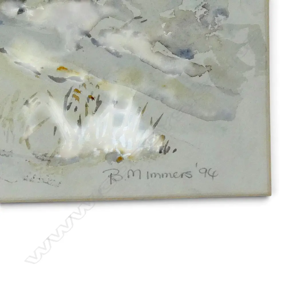 BRYONY IMMERS, 2 WATERCOLOURS, 230x330mm Image 1++