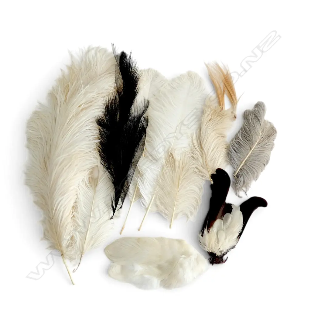 ASST VINTAGE FEATHERS Image 1++