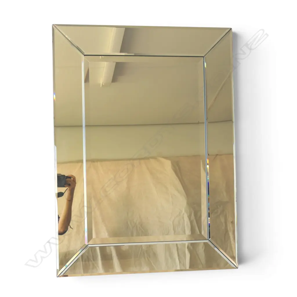 MIRROR w. SECTIONAL FRAME 885x650mm Image 1++