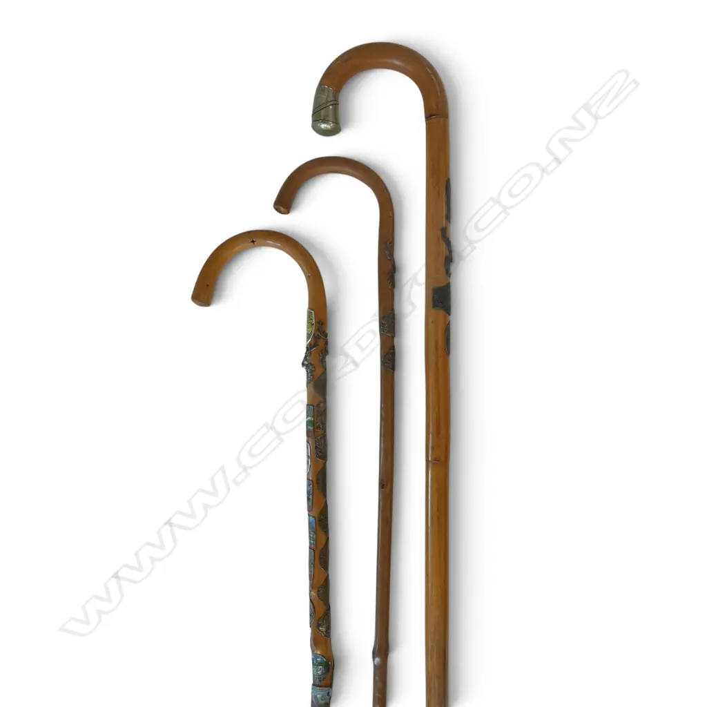 3 WALKING STICKS L.900mm Image 1++