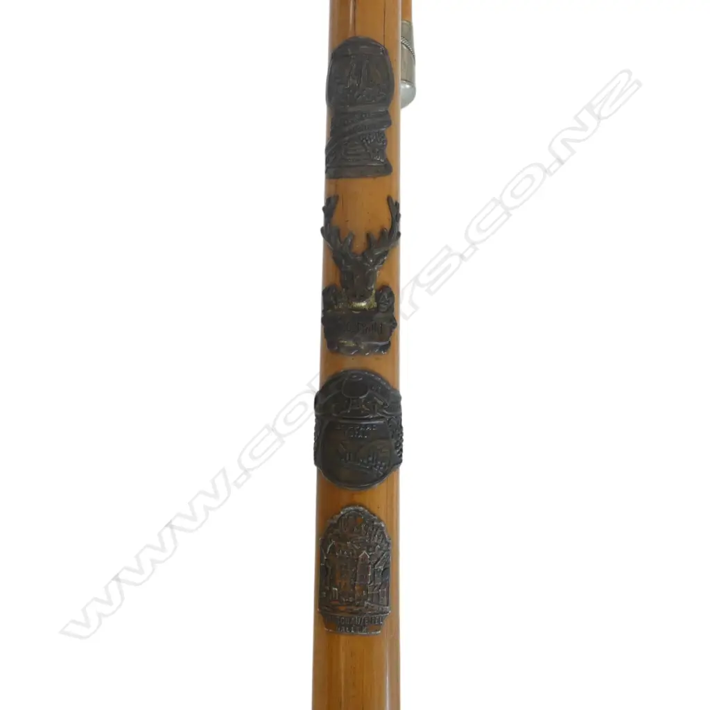 3 WALKING STICKS L.900mm Image 1++