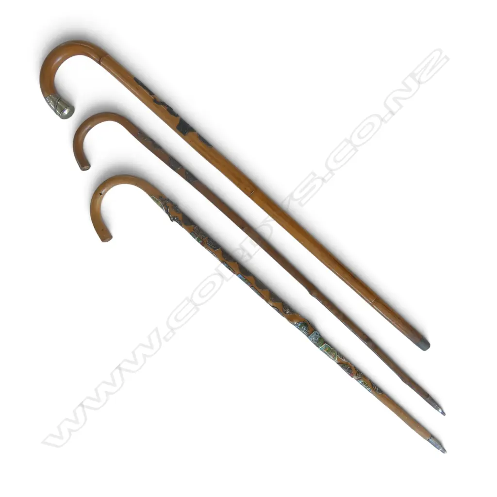 3 WALKING STICKS L.900mm Image 1++