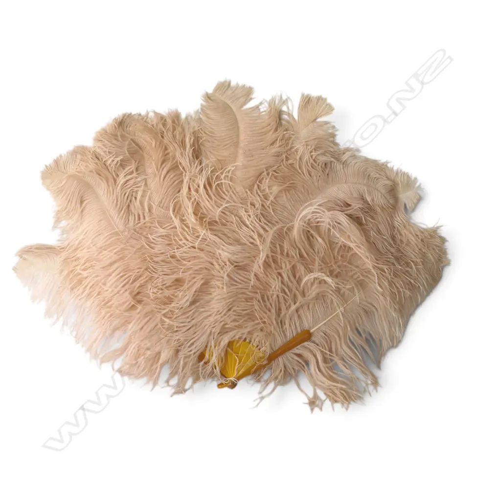LRG VINTAGE OSTRIDGE FEATHER CABERET FAN, L660mm, sml hanging hook broken Image 1++