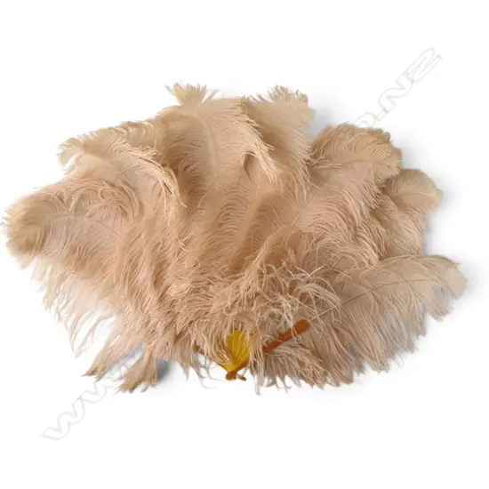 LRG VINTAGE OSTRIDGE FEATHER CABERET FAN, L660mm, sml hanging hook broken