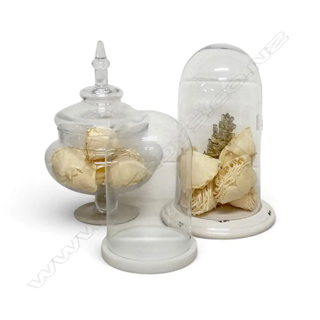 2 GLASS DOMES + LIDDED CONTAINER H.350mm Image 1++