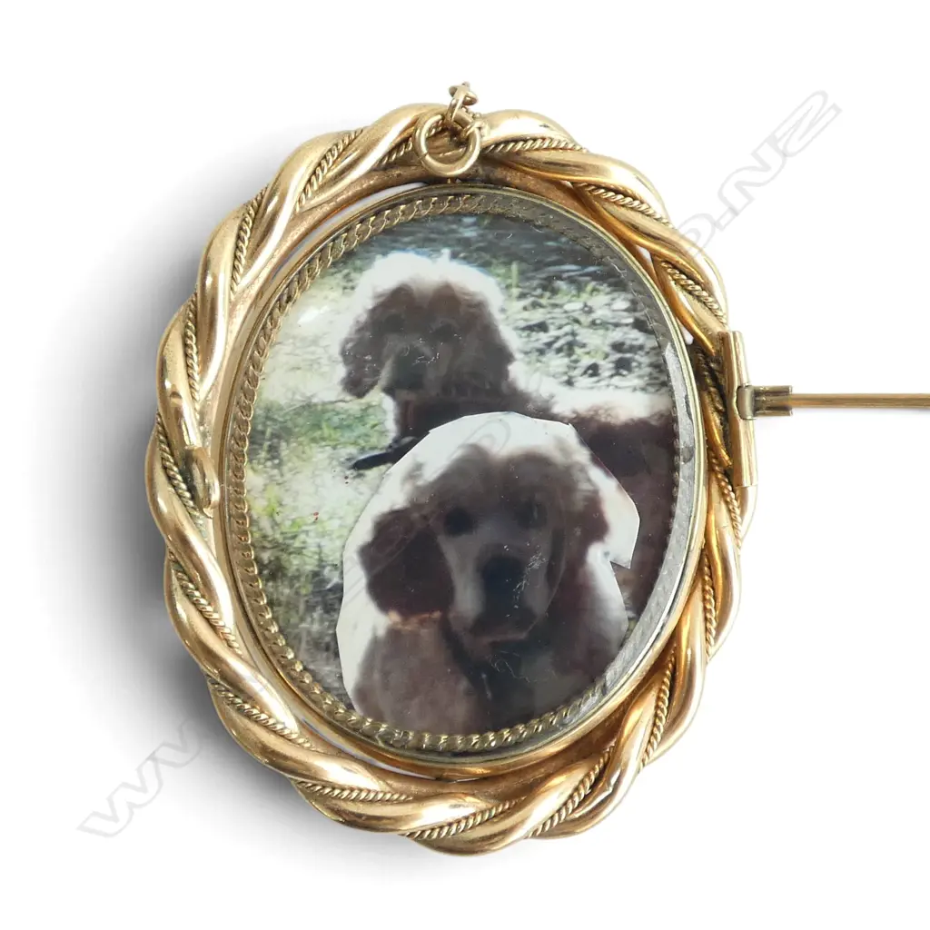 VICTORIAN GOLD PLATE FRAMED LARGE CAMEO MOURNING BROOCH Image 1++