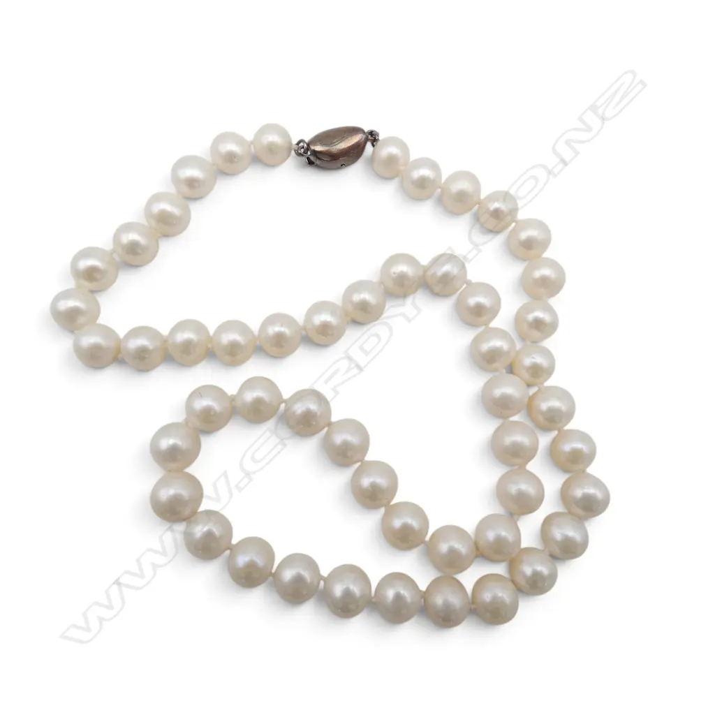 PEARL NECKLACE w. 925 SILVER CLASP L.440mm, with box Image 1++