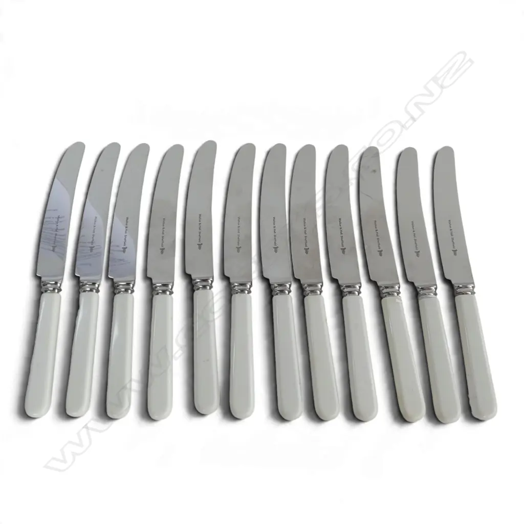 12 CASEIN HANDLED BUTTER KNIVES L.210mm Image 1++