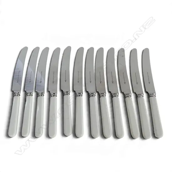 12 CASEIN HANDLED BUTTER KNIVES L.210mm