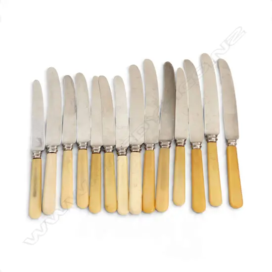 14 VINTAGE ‘BONE’ HANDLE KNIVES – 7 DINNER & 7 LUNCH USED