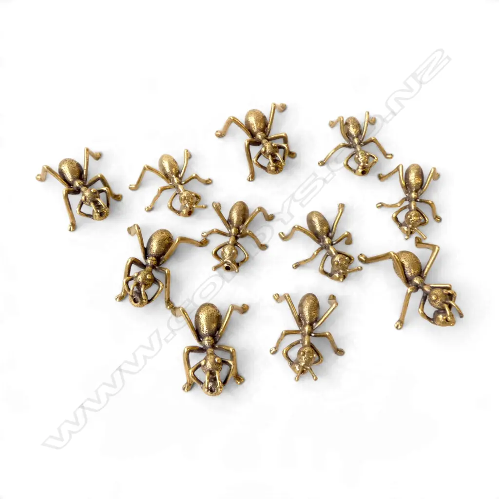 11 BRASS ANTS L.50mm Image 1++