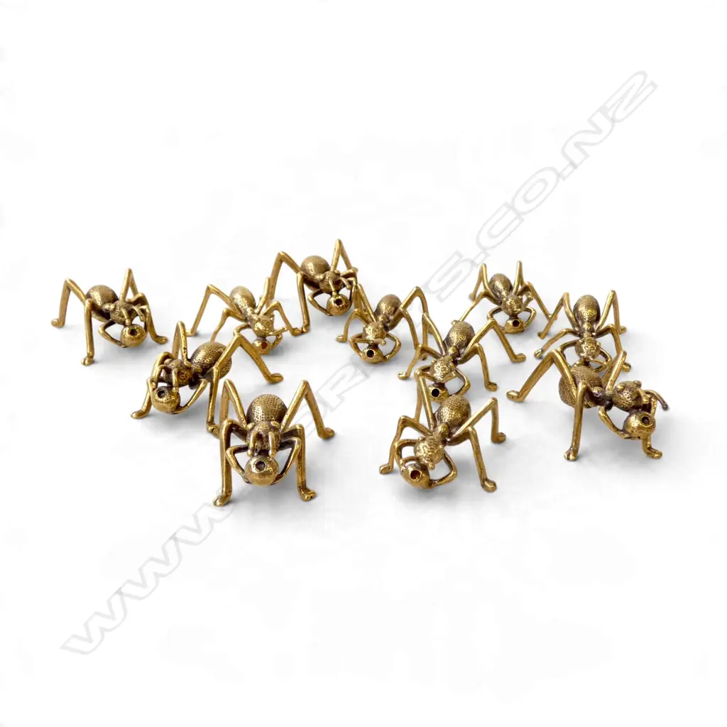 11 BRASS ANTS L.50mm Image 1++