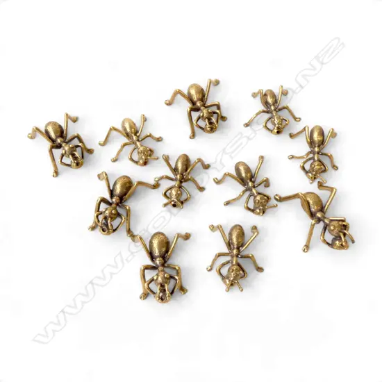 11 BRASS ANTS L.50mm