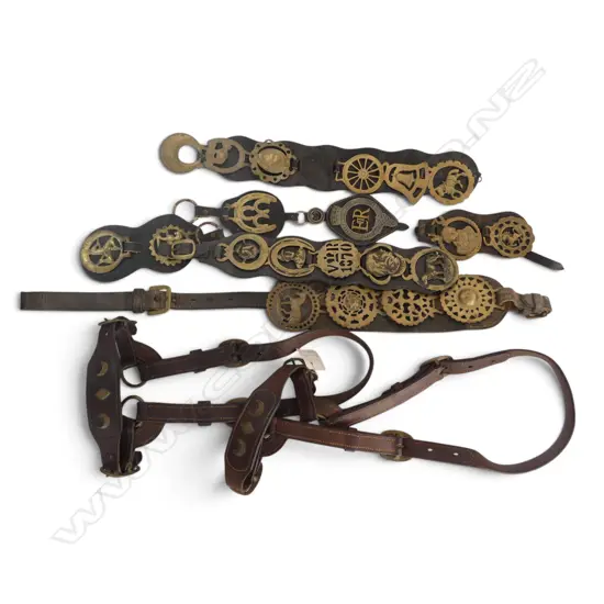 6 HORSE BRASSES + 2 LEATHER BULL HARNESSES