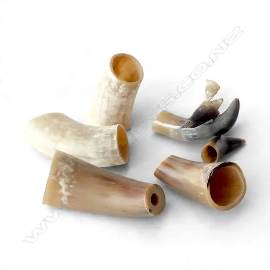 5 HORN PIECES (1 MODELLED AS A BIRD ON A BRANCH H.175mm)