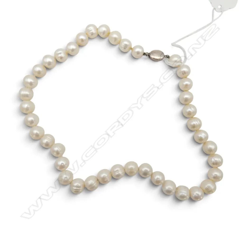 FRESH WATER CULTURED PEARL NECKLACE w SILVER CLASP Image 1++