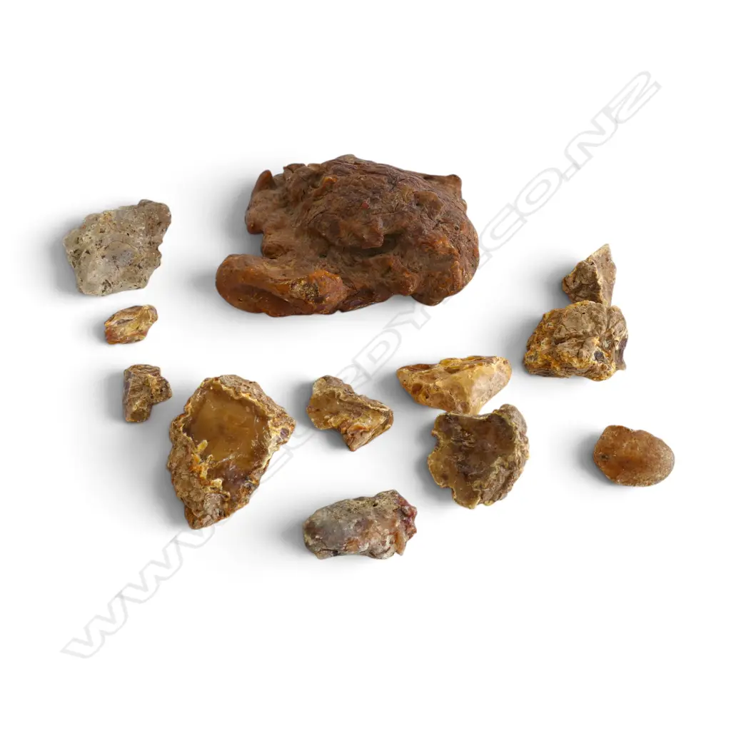 ASST. KAURI GUM 965gms Image 1++