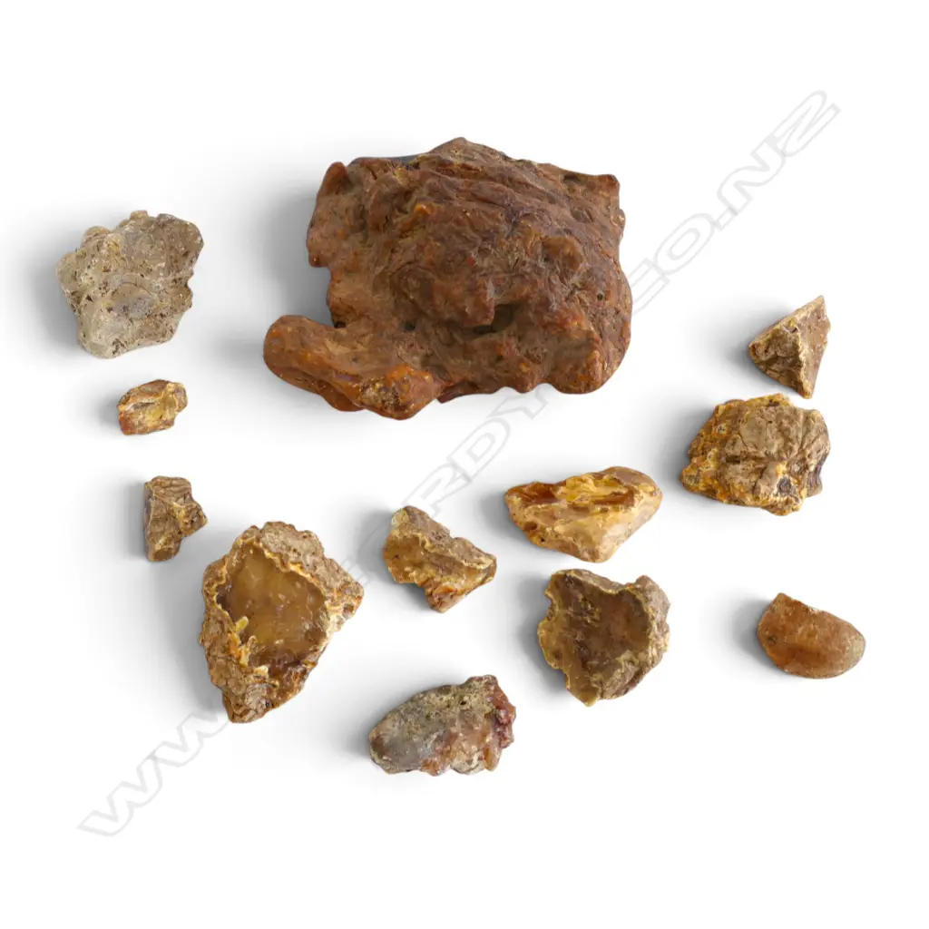 ASST. KAURI GUM 965gms Image 1++
