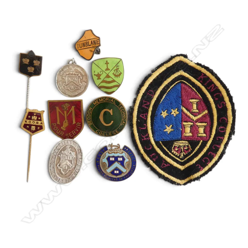 COLLECTION OF NZ SCHOOL & COLLEGE BADGES IN 1992 ROYAL DOULTON KINGS COLLEGE MUG Image 1++